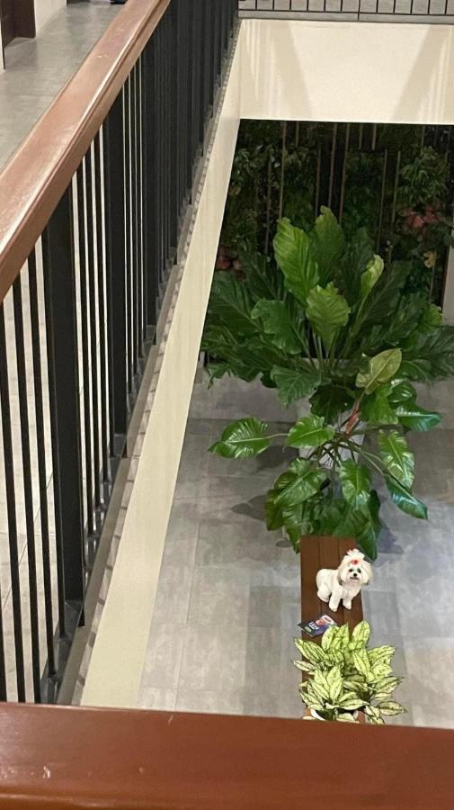A&E Apartelle Μπακολόντ Εξωτερικό φωτογραφία